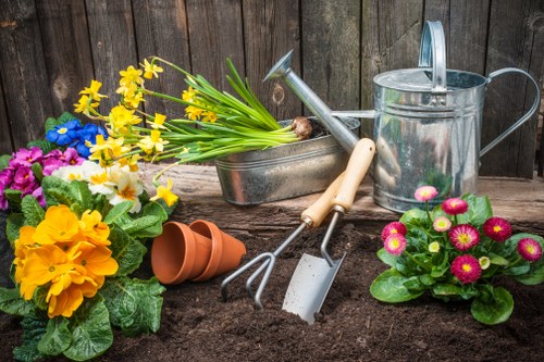 Diverse plant selection for Osterley gardens