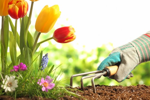 Seasonal garden maintenance activities in Osterley