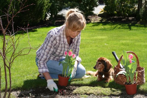 Garden team reviewing maintenance plans